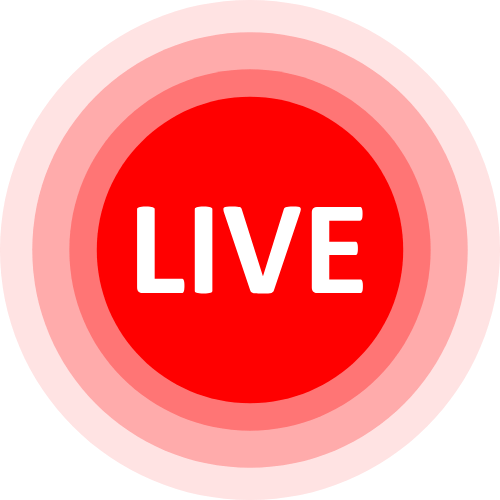 Lovense Icon